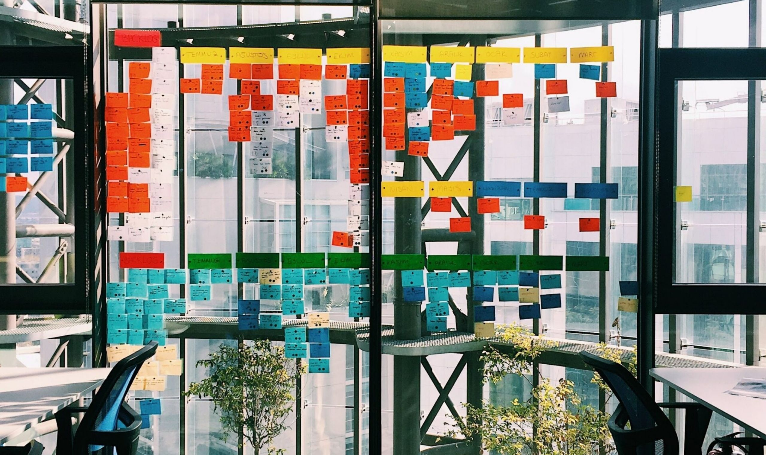 Content Management